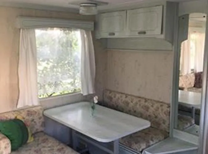 Holenderskie Jacek, Blisko Plazy, Chlapowo *